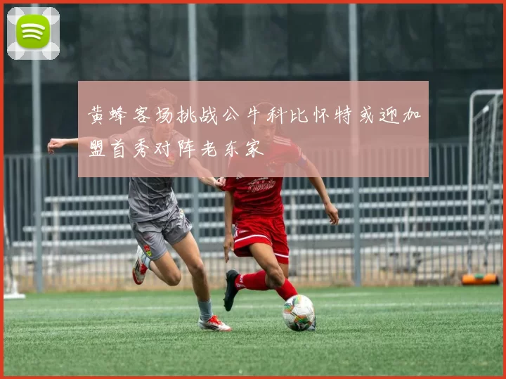 黄蜂客场挑战公牛科比怀特或迎加盟首秀对阵老东家